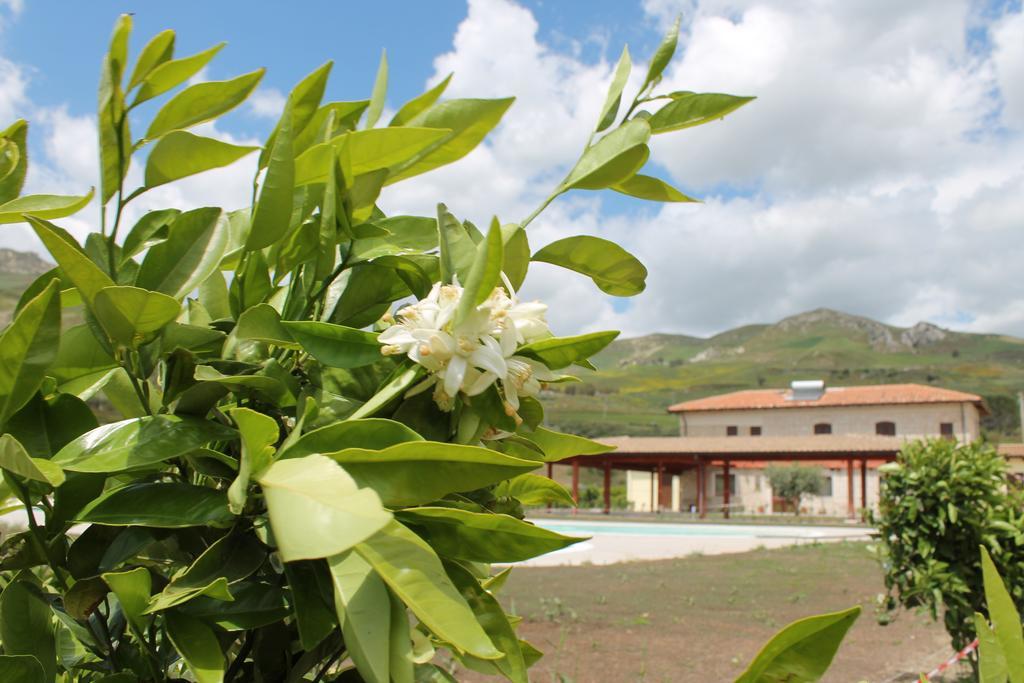 Tenuta Lanza Il Mulino Acquaviva Platani Dış mekan fotoğraf