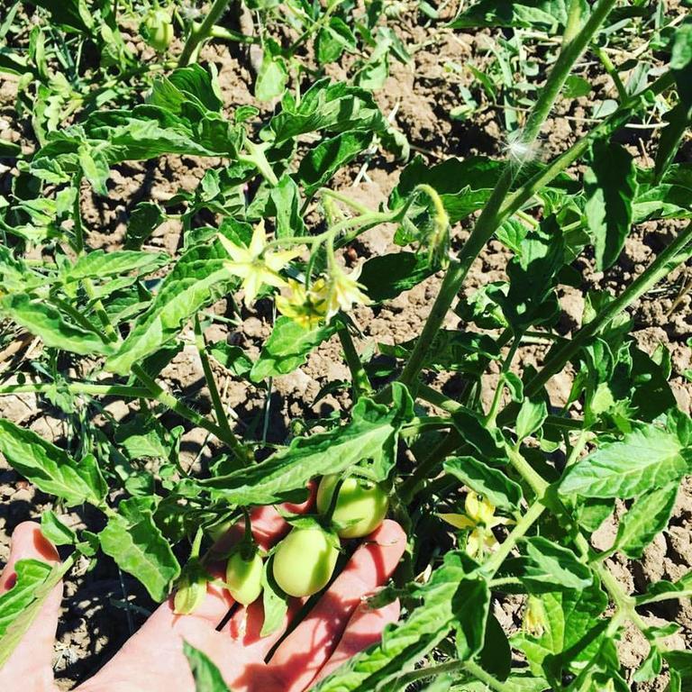 Tenuta Lanza Il Mulino Acquaviva Platani Dış mekan fotoğraf