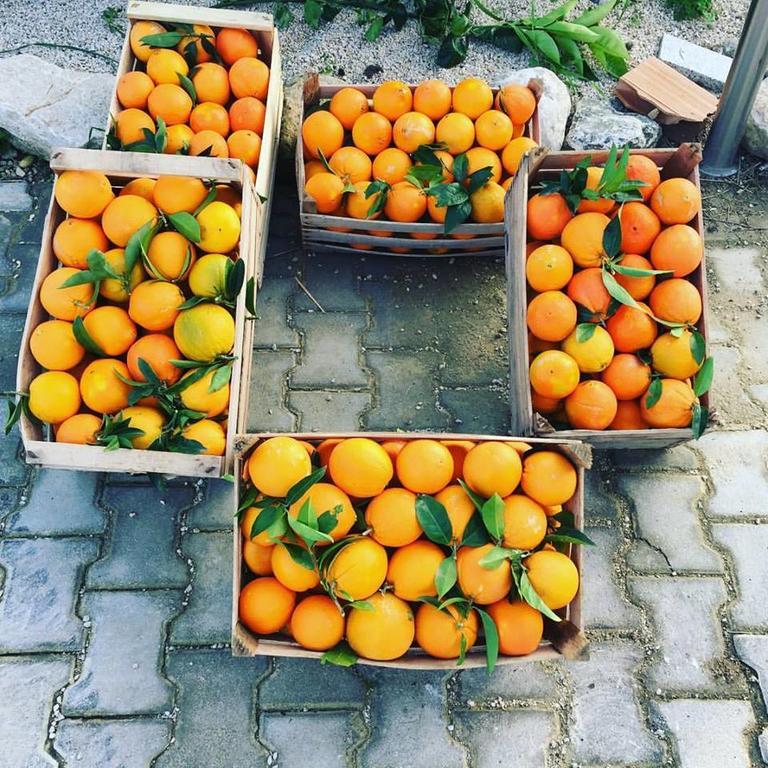 Tenuta Lanza Il Mulino Acquaviva Platani Dış mekan fotoğraf
