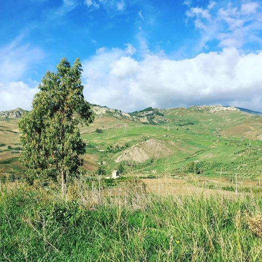 Tenuta Lanza Il Mulino Acquaviva Platani Dış mekan fotoğraf